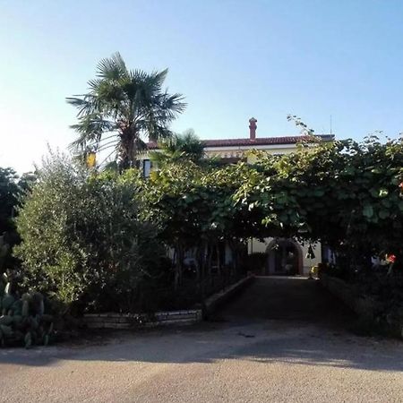 شقة App Carla Novigrad Istria المظهر الخارجي الصورة