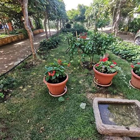 شقة App Carla Novigrad Istria المظهر الخارجي الصورة