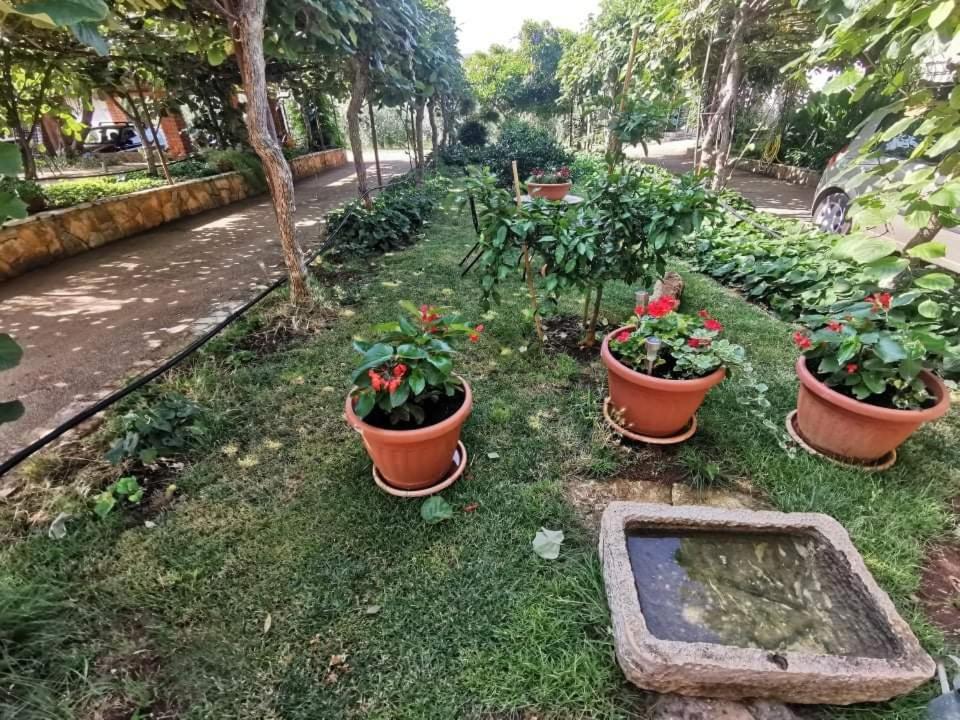 شقة App Carla Novigrad Istria المظهر الخارجي الصورة
