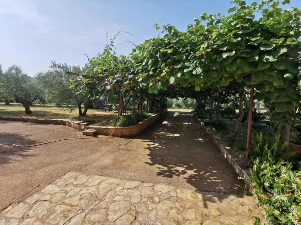 شقة App Carla Novigrad Istria المظهر الخارجي الصورة